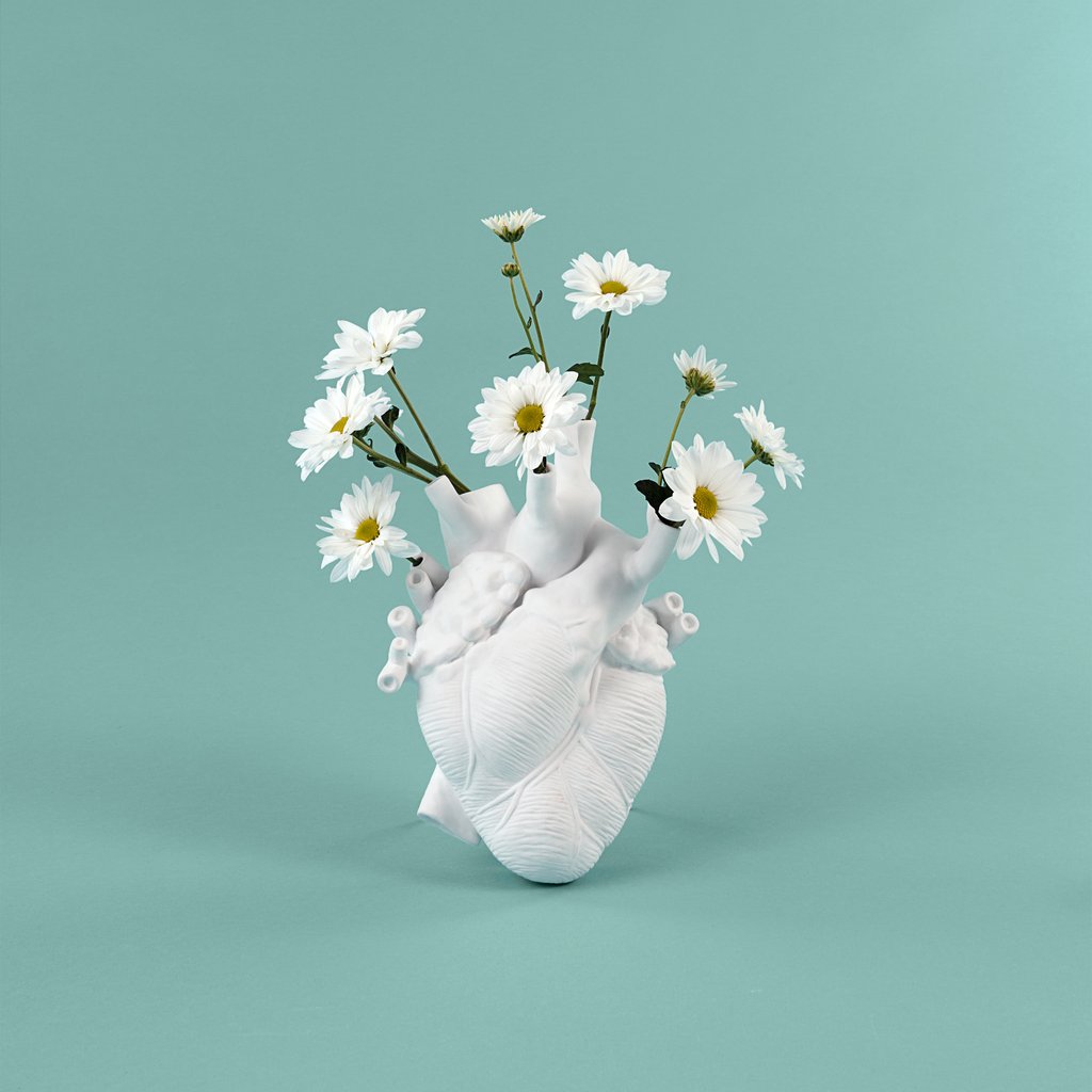 love-in-bloom-seletti-anatomical-heart-vase_1024x1024