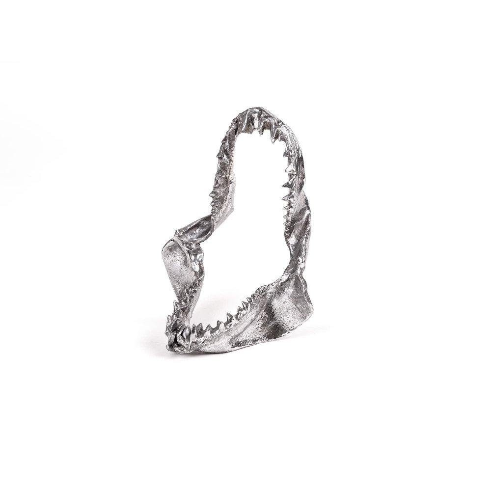 Seletti Diesel Wunderkammer - Shark jaw Mandibola di squalo Diesel-bite for your right - immagine 2