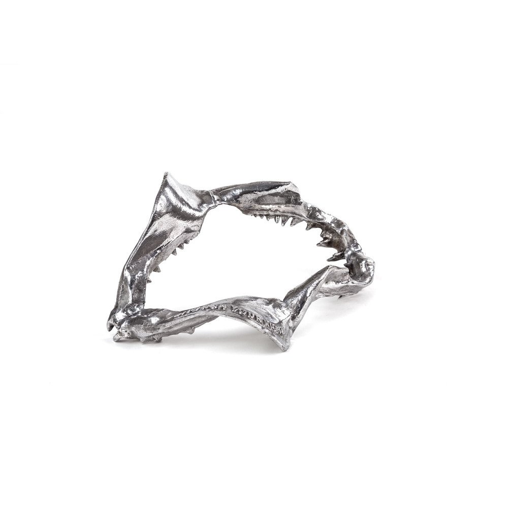 Seletti Diesel Wunderkammer - Shark jaw Mandibola di squalo Diesel-bite for your right - immagine 4