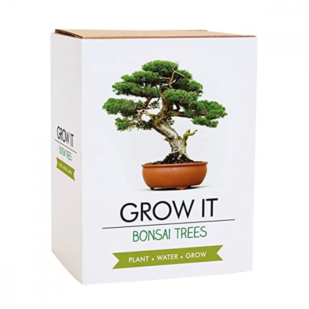 Gift Republic Grow It - Bonsai