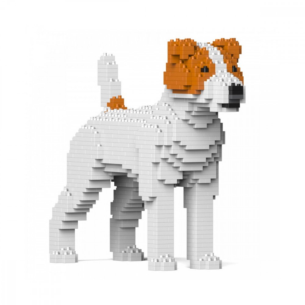 Jekca Jack Russel Terrier - immagine 3