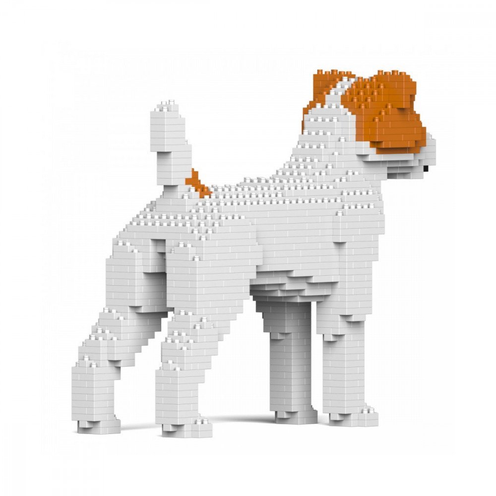 Jekca Jack Russel Terrier - immagine 2
