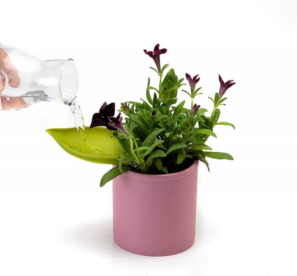 Peleg Design Leaflow Pot imbuto per innaffiatura - foglia - immagine 2