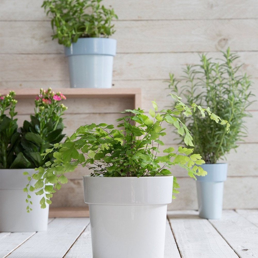 Monkey Business Slim Pot Grigio - immagine 4