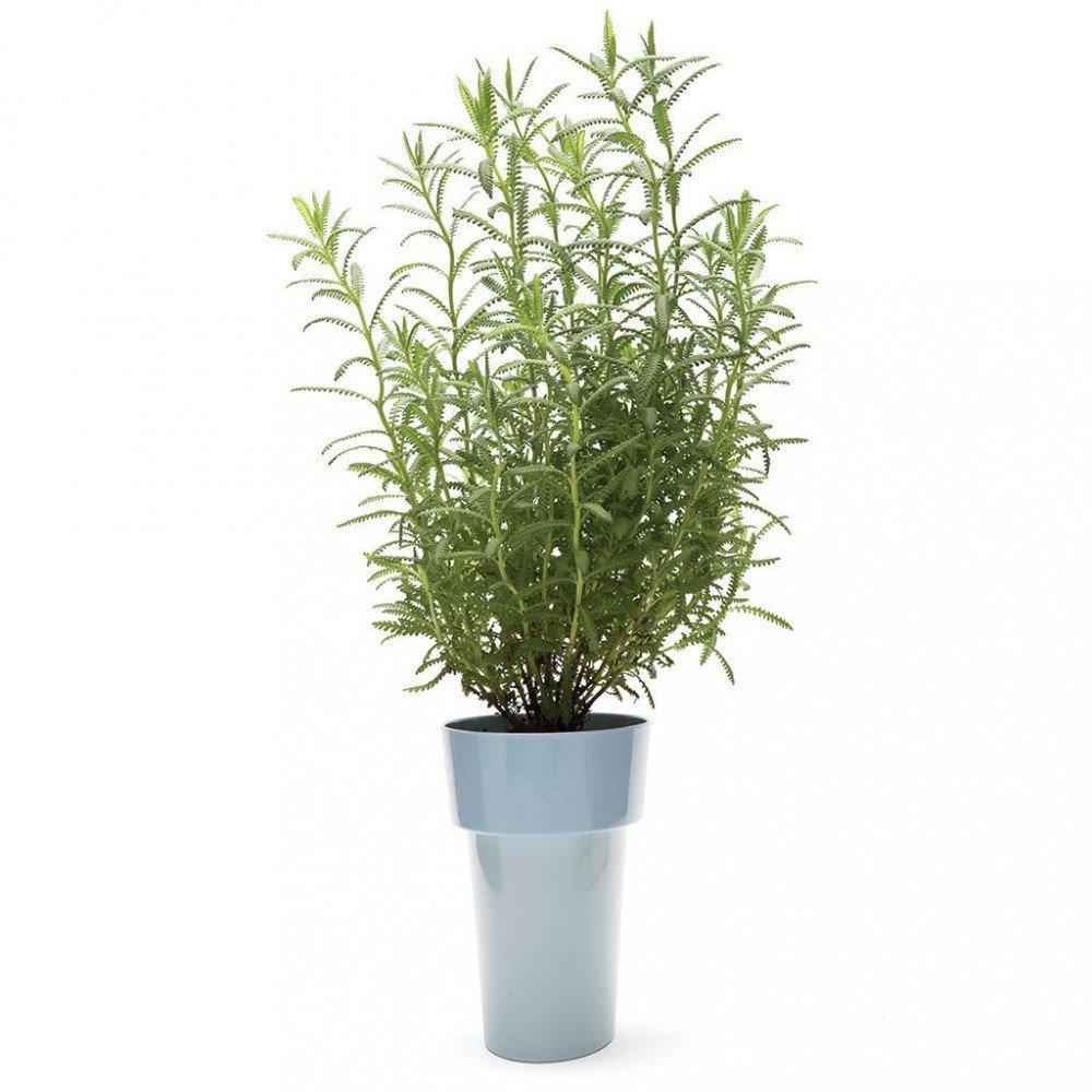Monkey Business Slim Pot Grigio - immagine 6