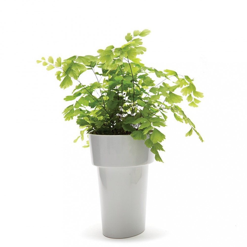 Monkey Business Slim Pot Grigio
