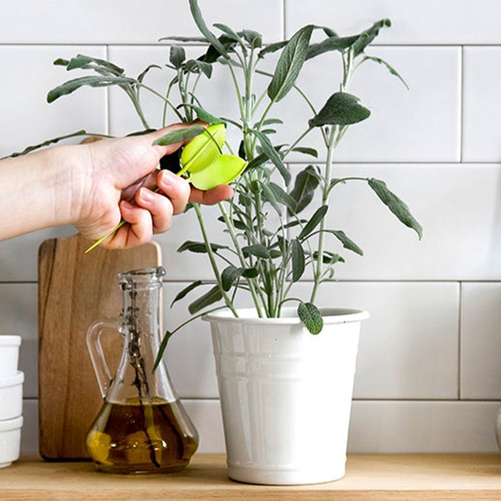 Peleg Design Leafers forbici per piante - immagine 4