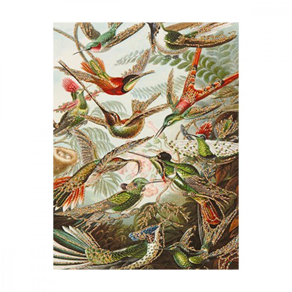 Vanilla Fly biglietto auguri Retro Birds
