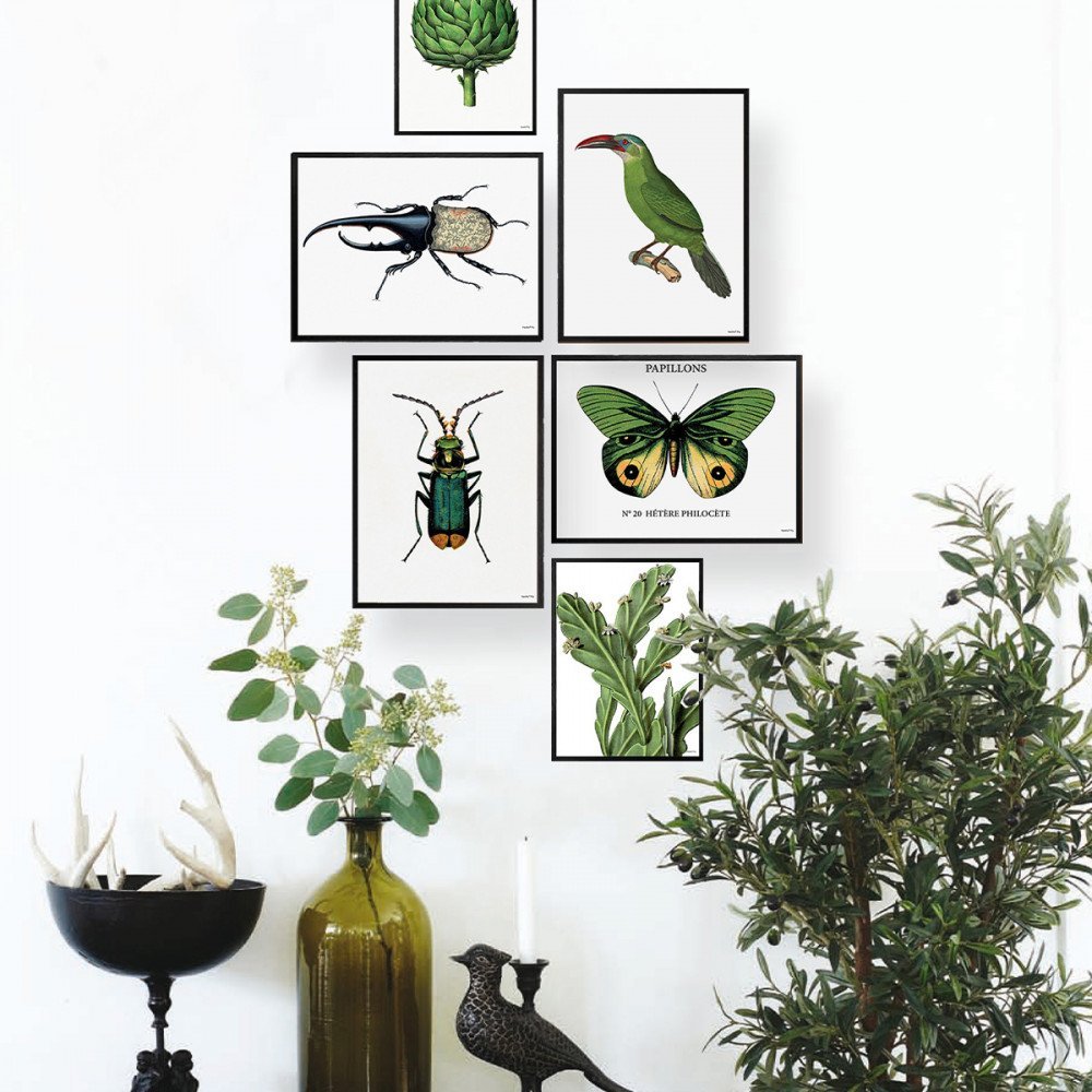 Vanilla Fly quadro Grasshopper - immagine 2