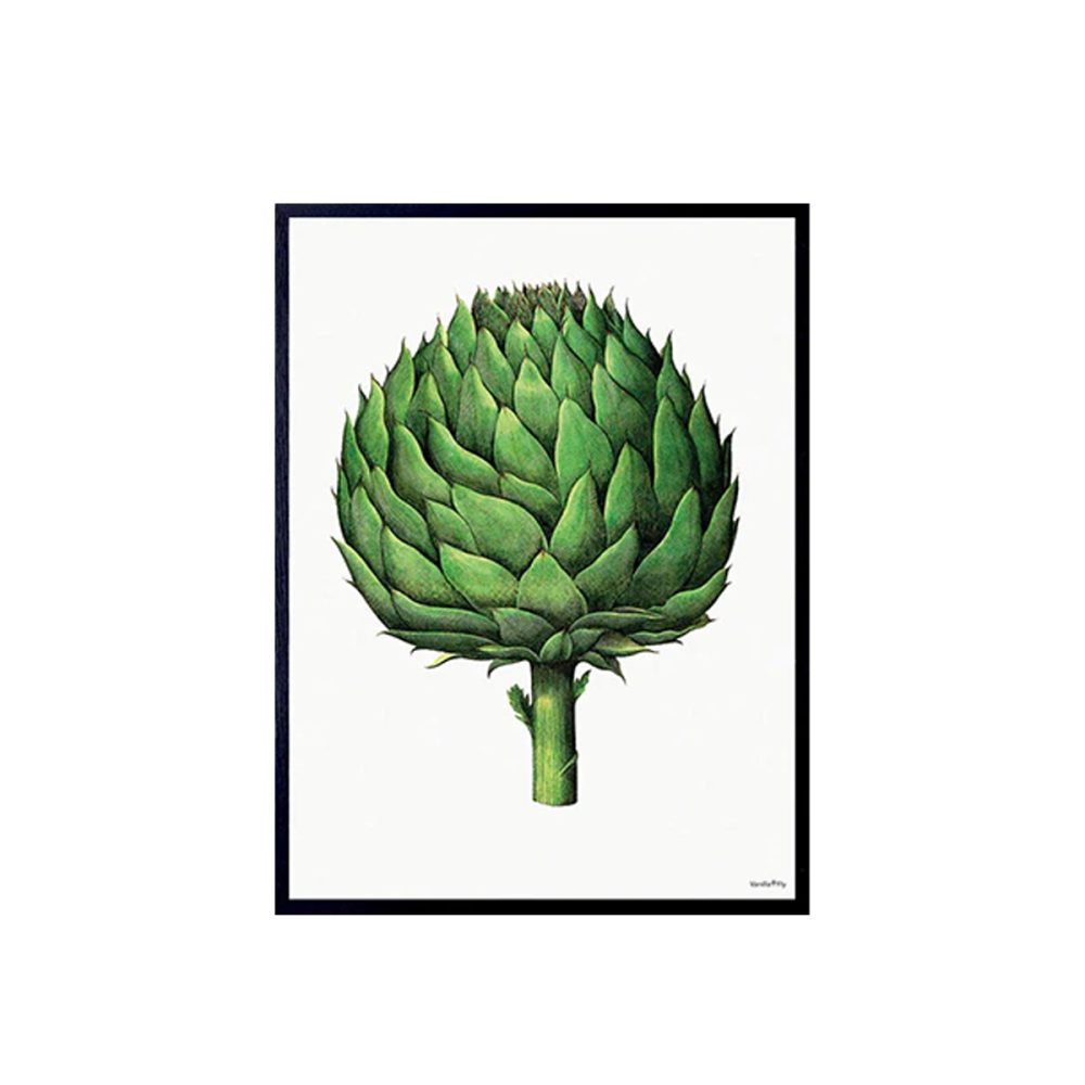 Vanilla Fly quadro Artichoke