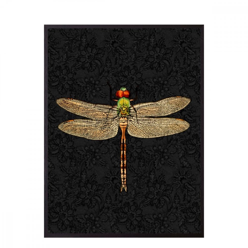 Vanilla Fly quadro Dragonfly Black