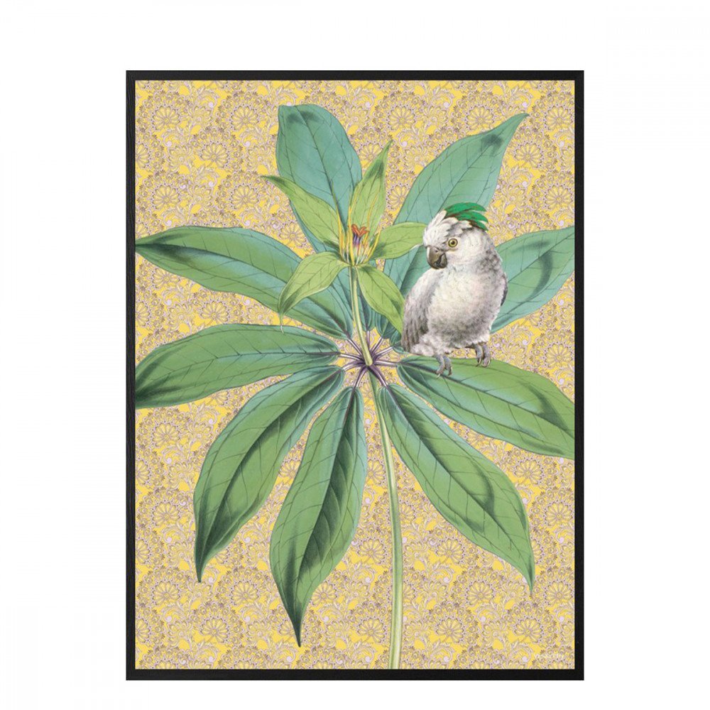 Vanilla Fly quadro Happy Bird