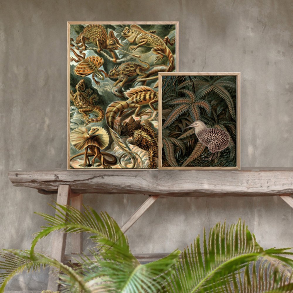 Vanilla Fly quadro Kiwi Jungle - immagine 2