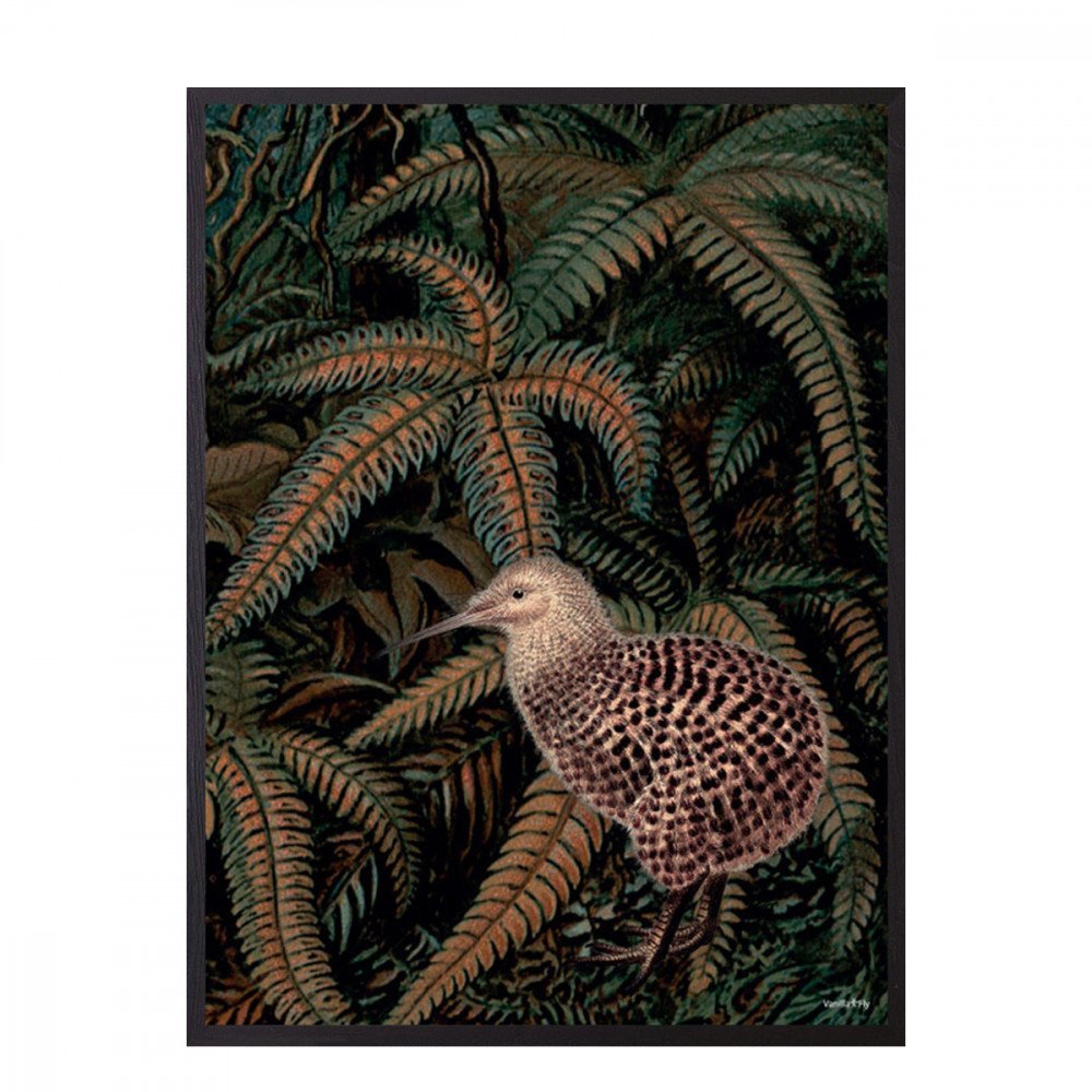 Vanilla Fly quadro Kiwi Jungle
