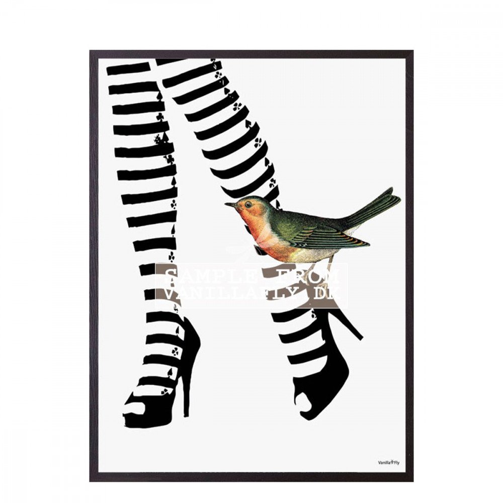 Vanilla Fly quadro Hot Legs