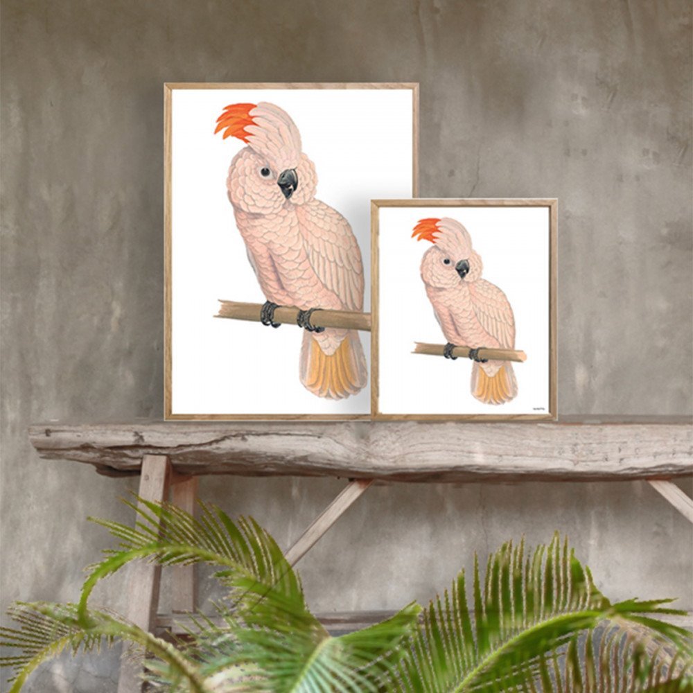 Vanilla Fly quadro Pink Parrot - immagine 2