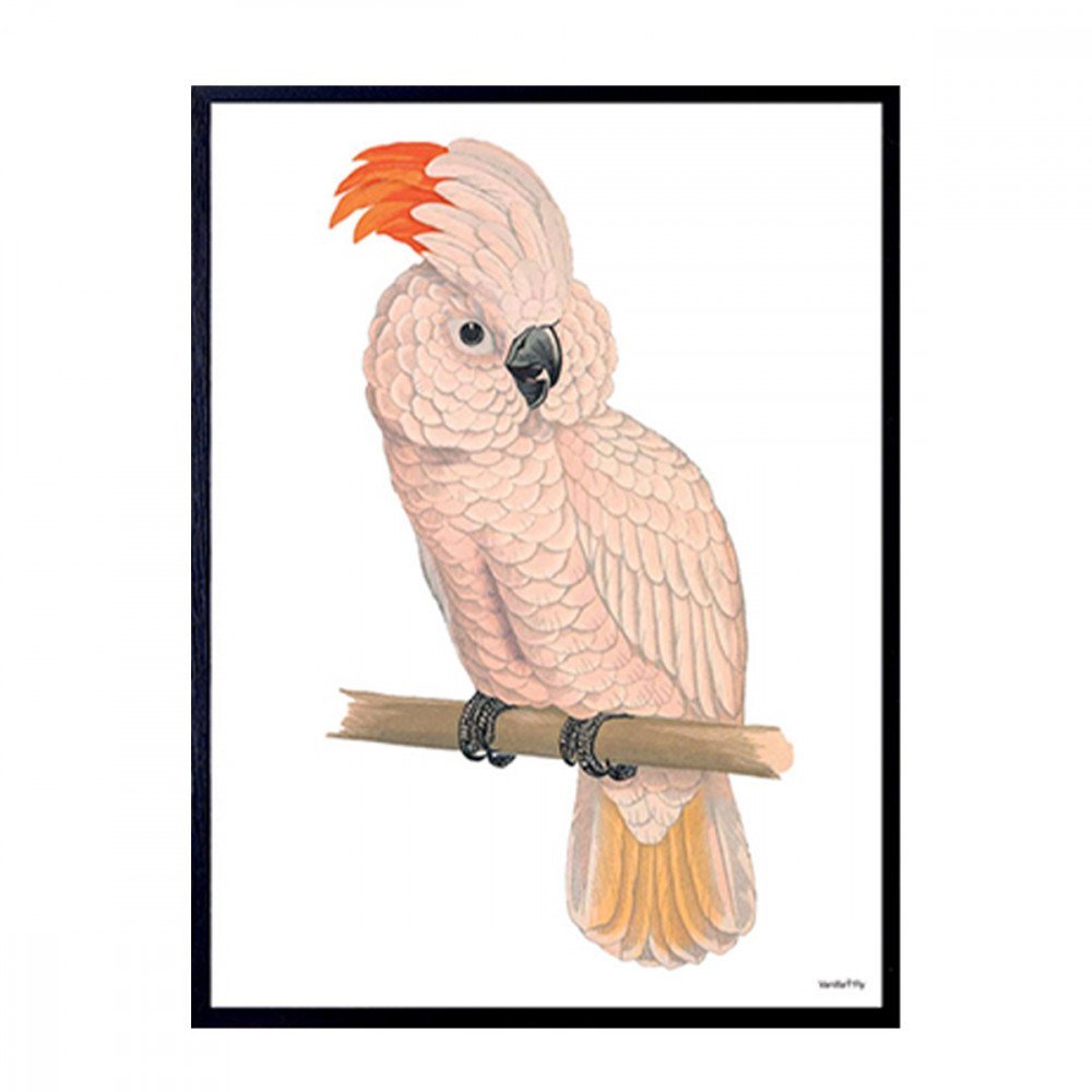 Vanilla Fly quadro Pink Parrot