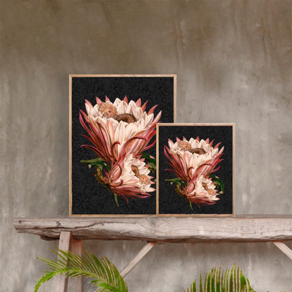 Vanilla Fly quadro Pink Protea - immagine 2