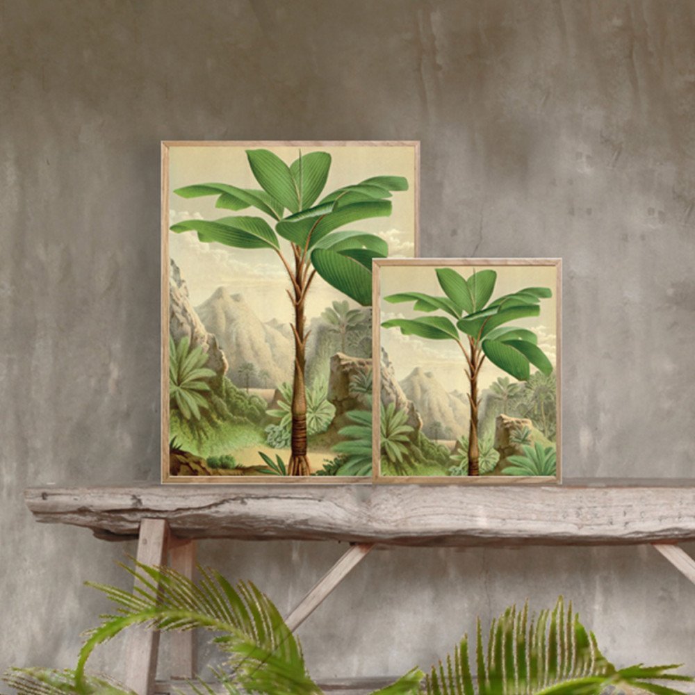 Vanilla Fly quadro medio Jungle - immagine 2