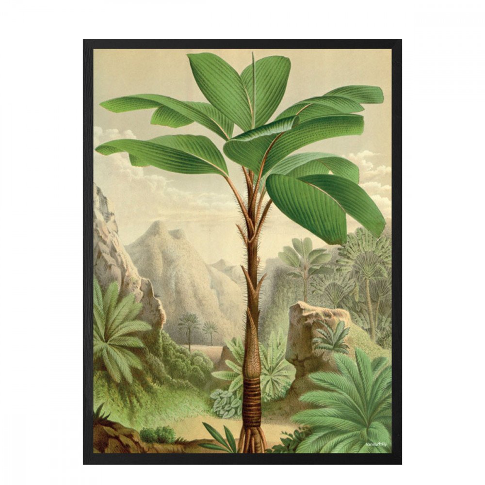 Vanilla Fly quadro medio Jungle