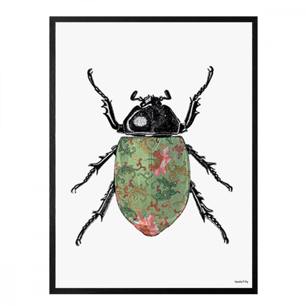 Vanilla Fly quadro Colored Beetle