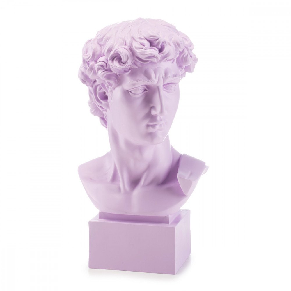 Busto David Large - Lilla