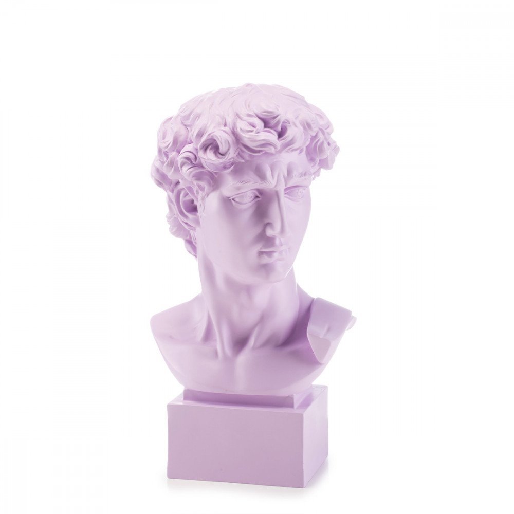 Busto David Medium - Lilla