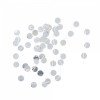 Rice ghirlanda paillettes argento