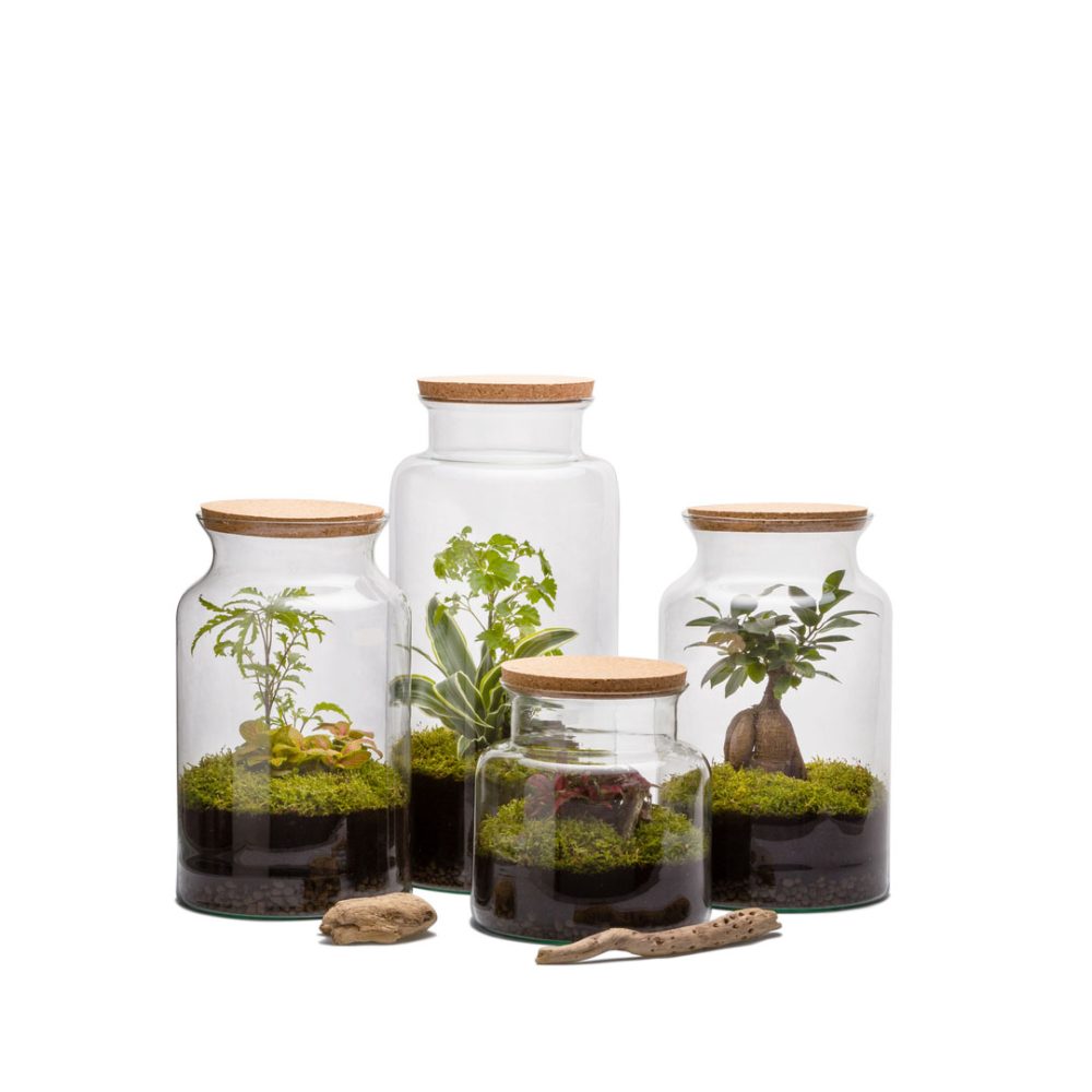 Terrarium Jungle Auto S - immagine 2