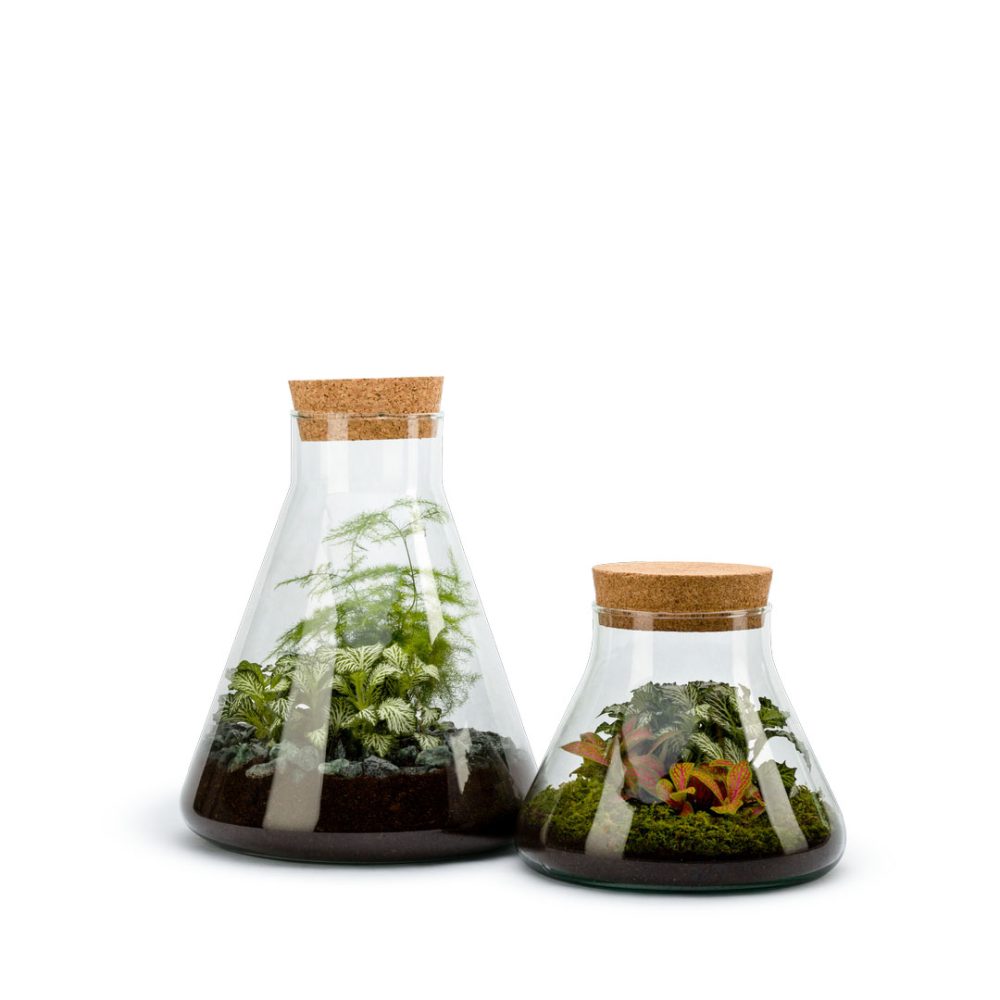 Terrarium Kheops Auto S - immagine 2
