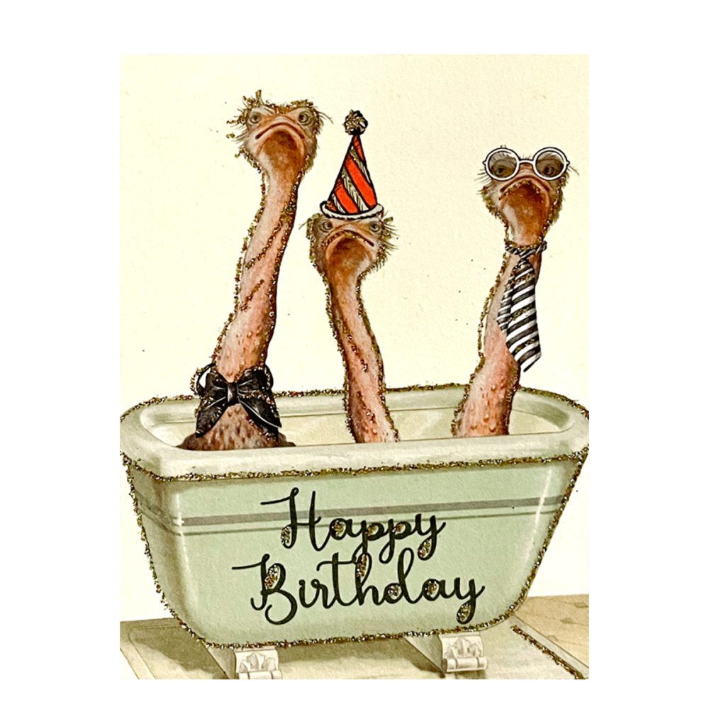 Vanilla Fly biglietto auguri Happy Birthday Ostrich