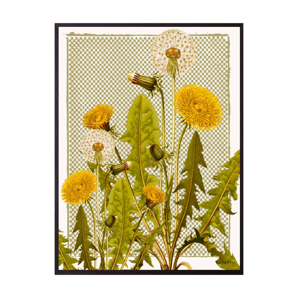 Vanilla Fly quadro Dandelion