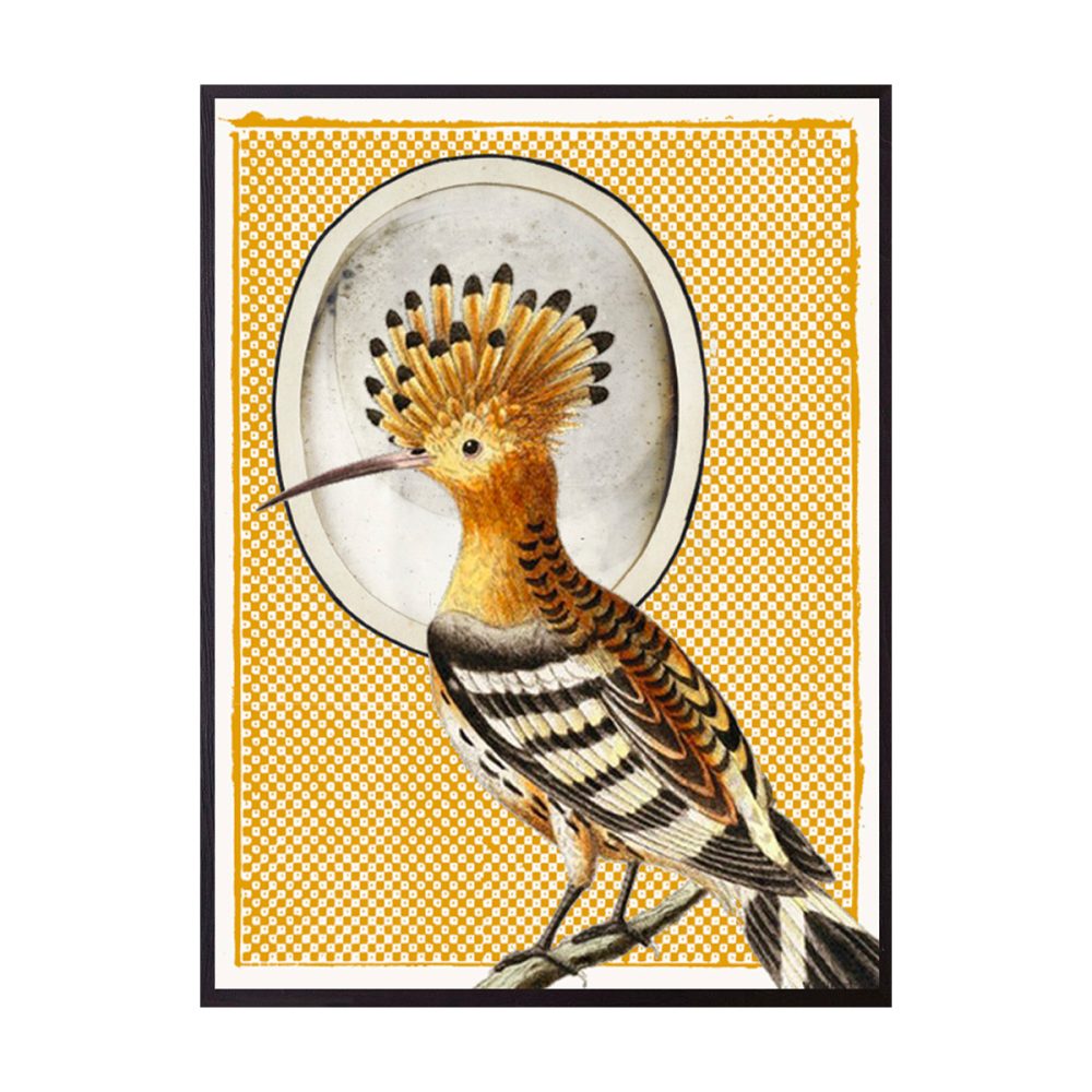 Vanilla Fly quadro Hoopoe