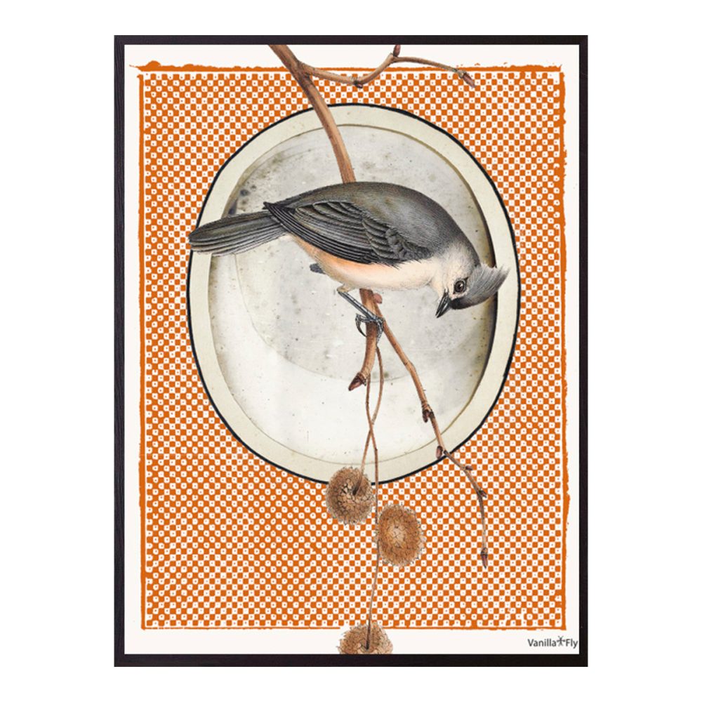 Vanilla Fly quadro Whippoorwill