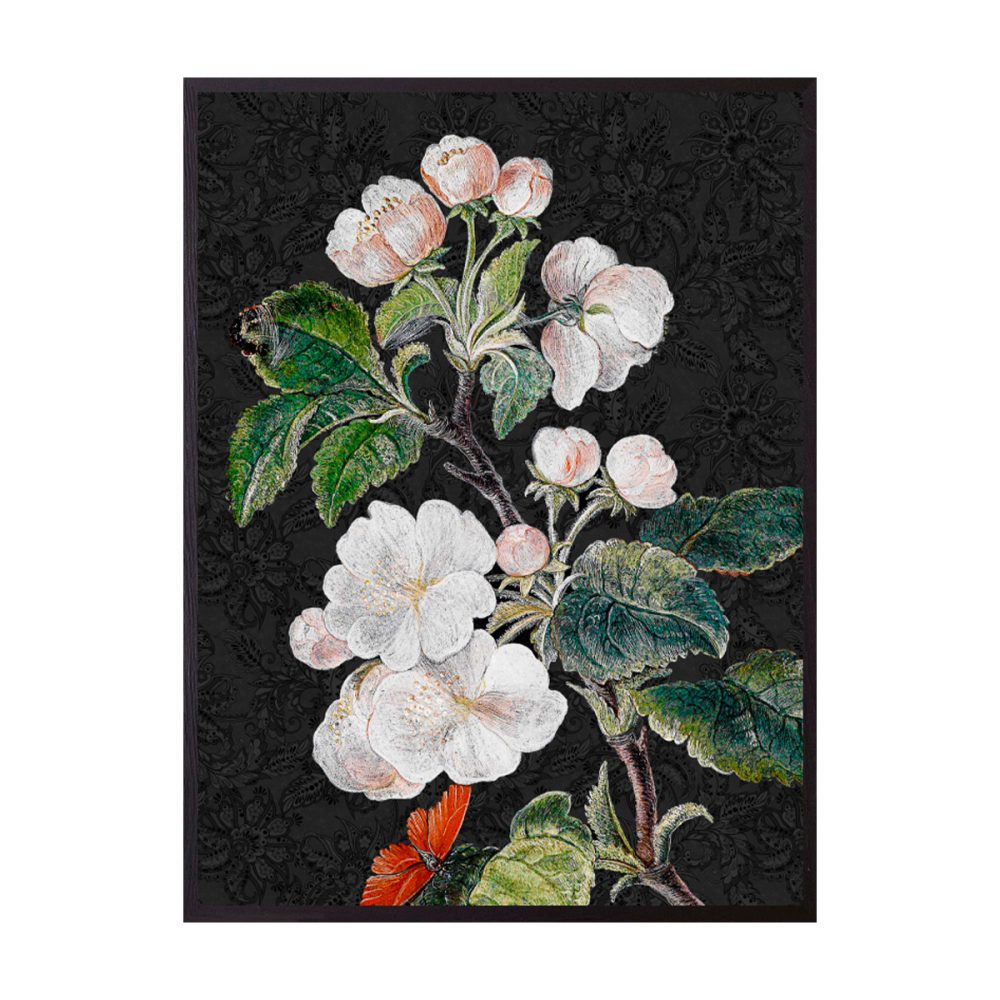 Vanilla Fly quadro medio Black Appleblossom