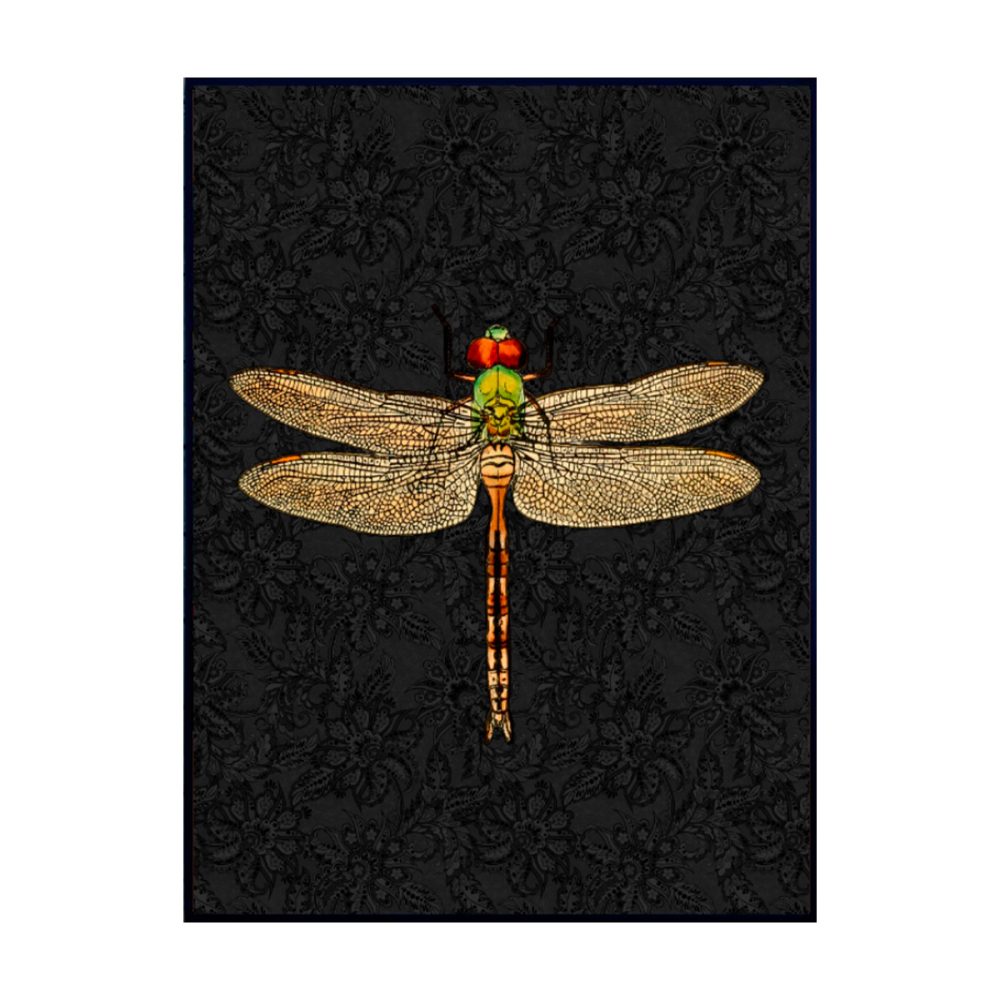 Vanilla Fly quadro medio Dragonfly Black
