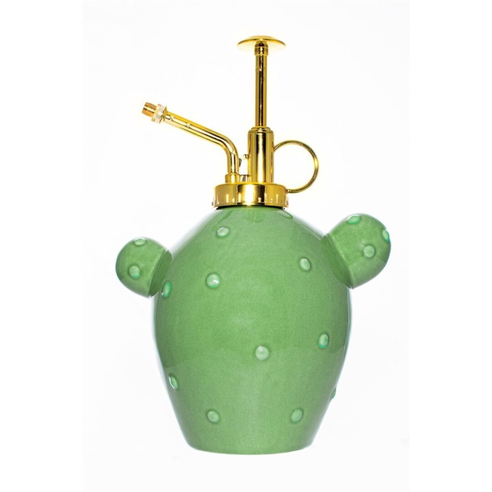 Fisura Vaporizzatore Cactus