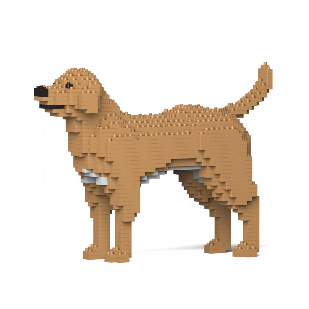Jekca Labrador Retriever