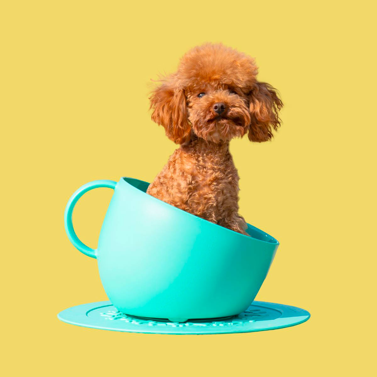 UNITED-PETS