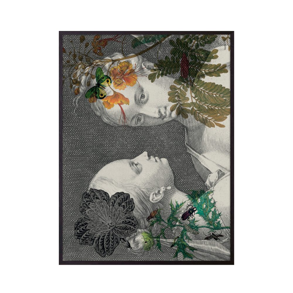 Vanilla Fly quadro Femmes 2