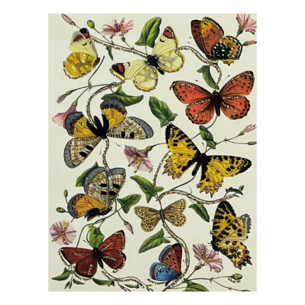 Vanilla Fly biglietto auguri Butterflies