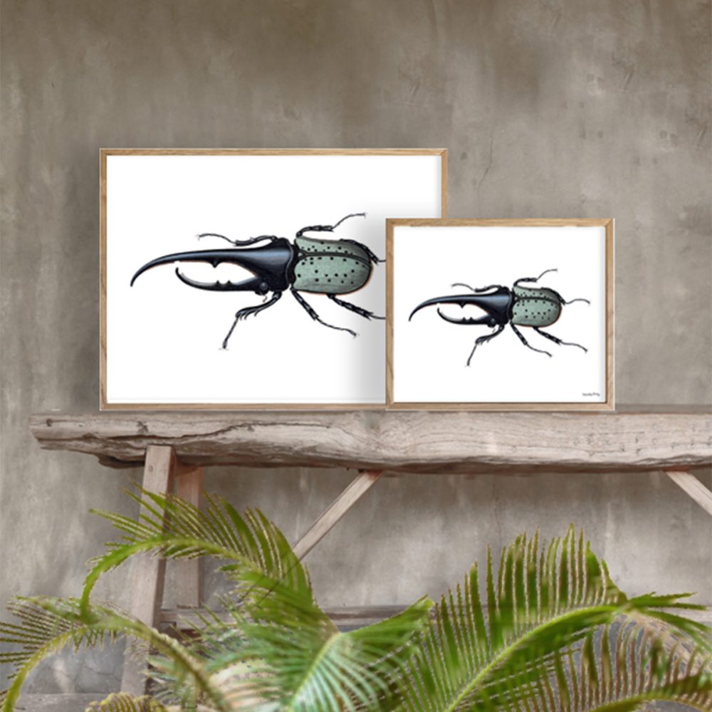 Vanilla Fly quadro medio Bug - immagine 2