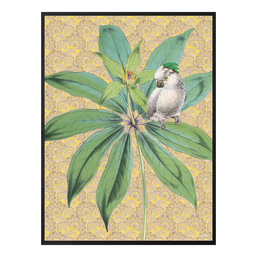 Vanilla Fly quadro medio Happy Bird