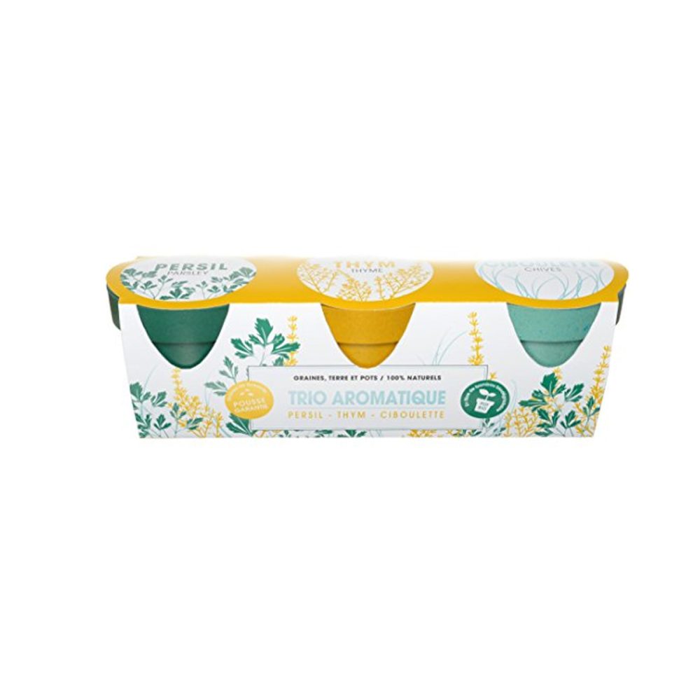 Trio piante aromatiche