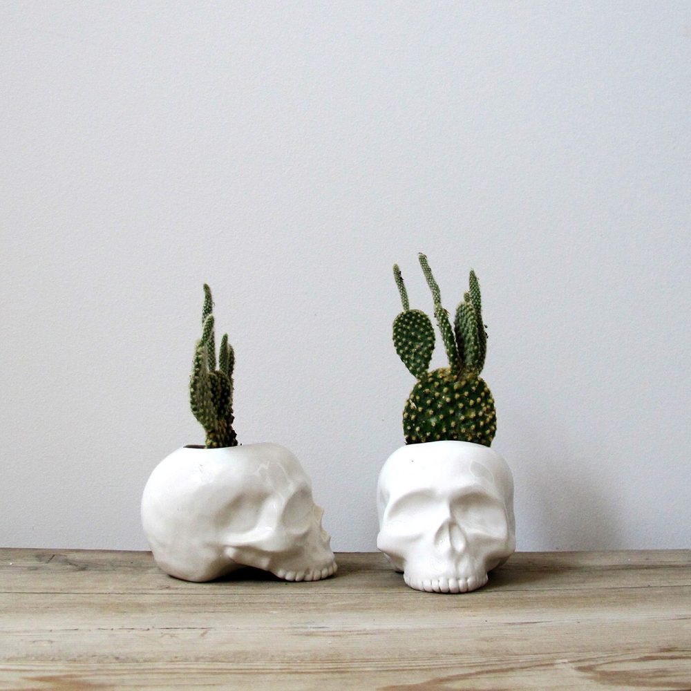 Gift Republic Vaso teschio Cactus - immagine 3