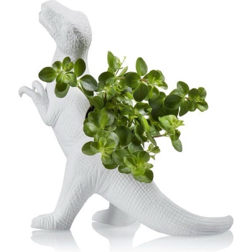 Plantosauro Rex - immagine 2