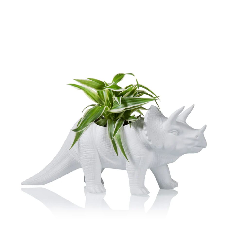 Plantosauro Triceratopo