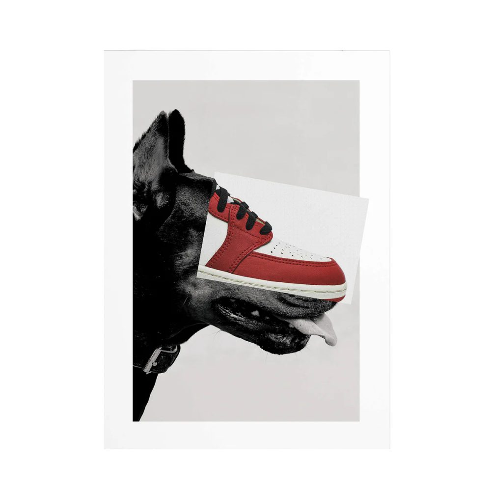 NO Independent Republic Sneakerdobermann