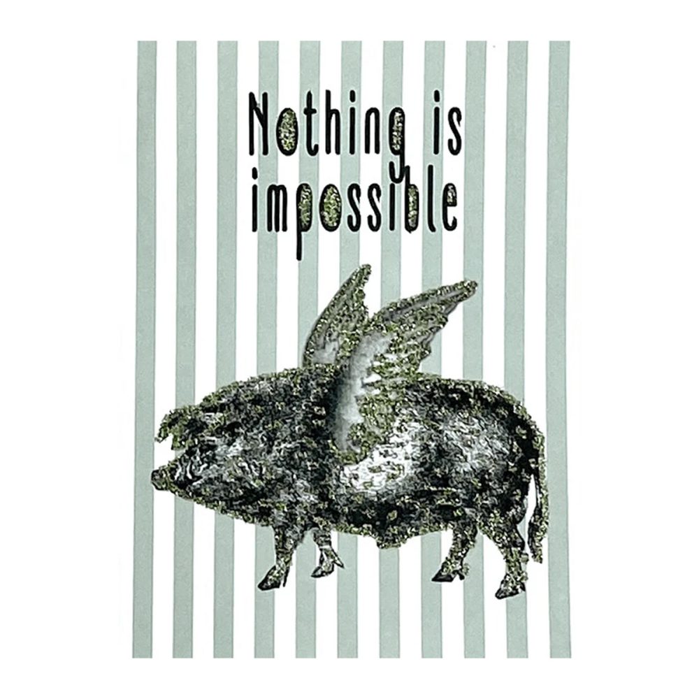 Vanilla Fly biglietto auguri Nothing is Impossible