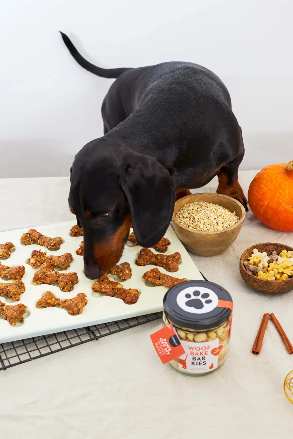 Pineut Barkies preparato per dolci per cani - immagine 3